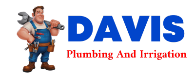 Trusted plumber in DEBORD